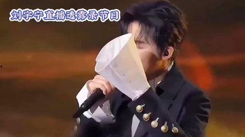 刘宇宁后续爆料视频播放,揭秘娱乐圈不为人知的一面  第2张