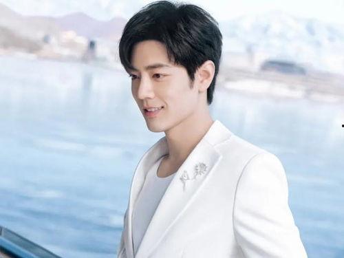 肖战感情爆料视频大全,揭秘视频大全背后的真相与争议  第3张